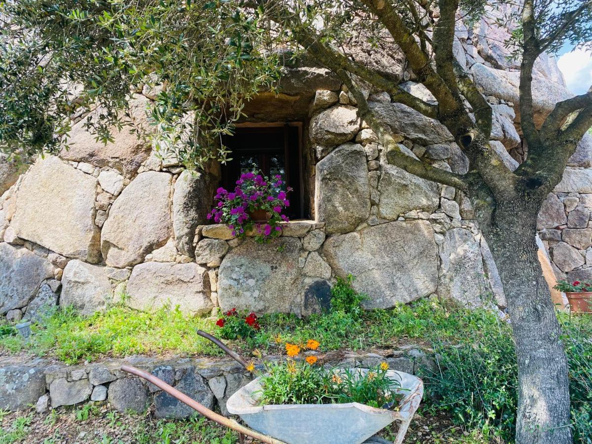 Il Nuraghe Del Lago Coghinas Oschiri Buitenkant foto