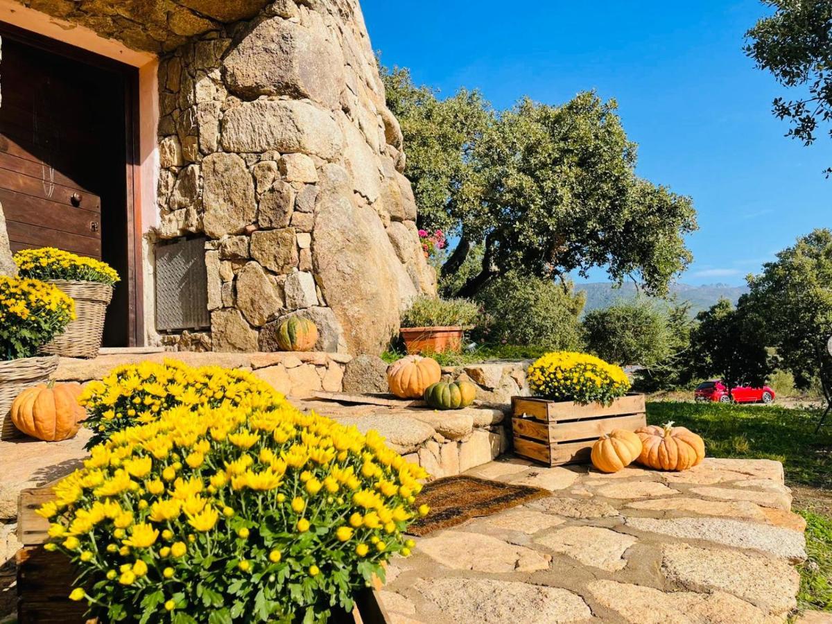 Il Nuraghe Del Lago Coghinas Oschiri Buitenkant foto