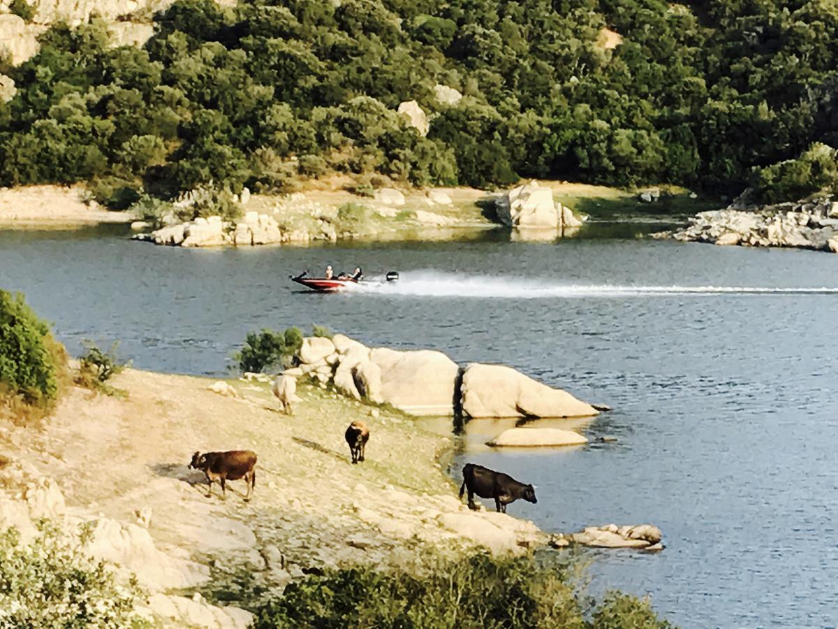 Il Nuraghe Del Lago Coghinas Oschiri Buitenkant foto